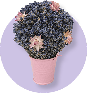 Картинка Композиции - Лавандовый Замок