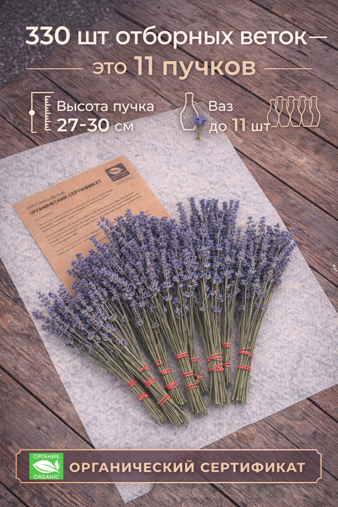 11 пучков из отборной лаванды
