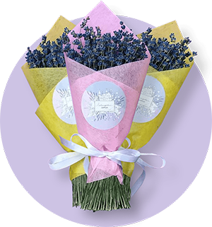 Картинка Сухоцветы оптом - Лавандовый Замок