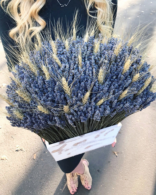 Лавандовая композиция с колосками