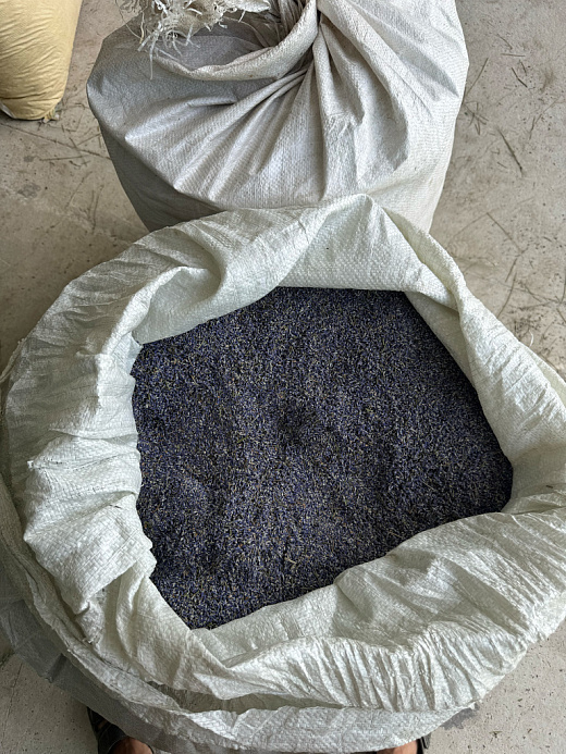 Цветы натуральной лаванды на вес (200 г)